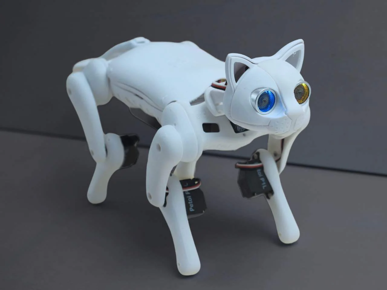 Robotic Cat Nybble Q Coding Robot Cat | Petoi - Image 10
