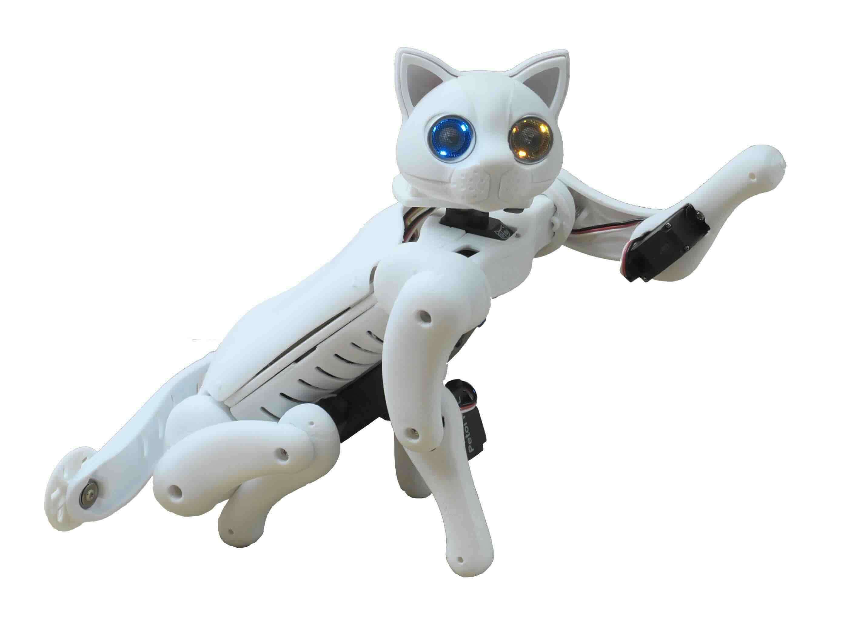 Robotic Cat Nybble Q Coding Robot Cat | Petoi - Image 4